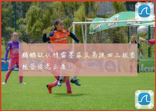鹈鹕欲以特雷墨菲交易换回三枚首轮签你怎么看