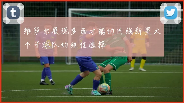 维萨尔展现多面才能的内线新星大个子球队的绝佳选择